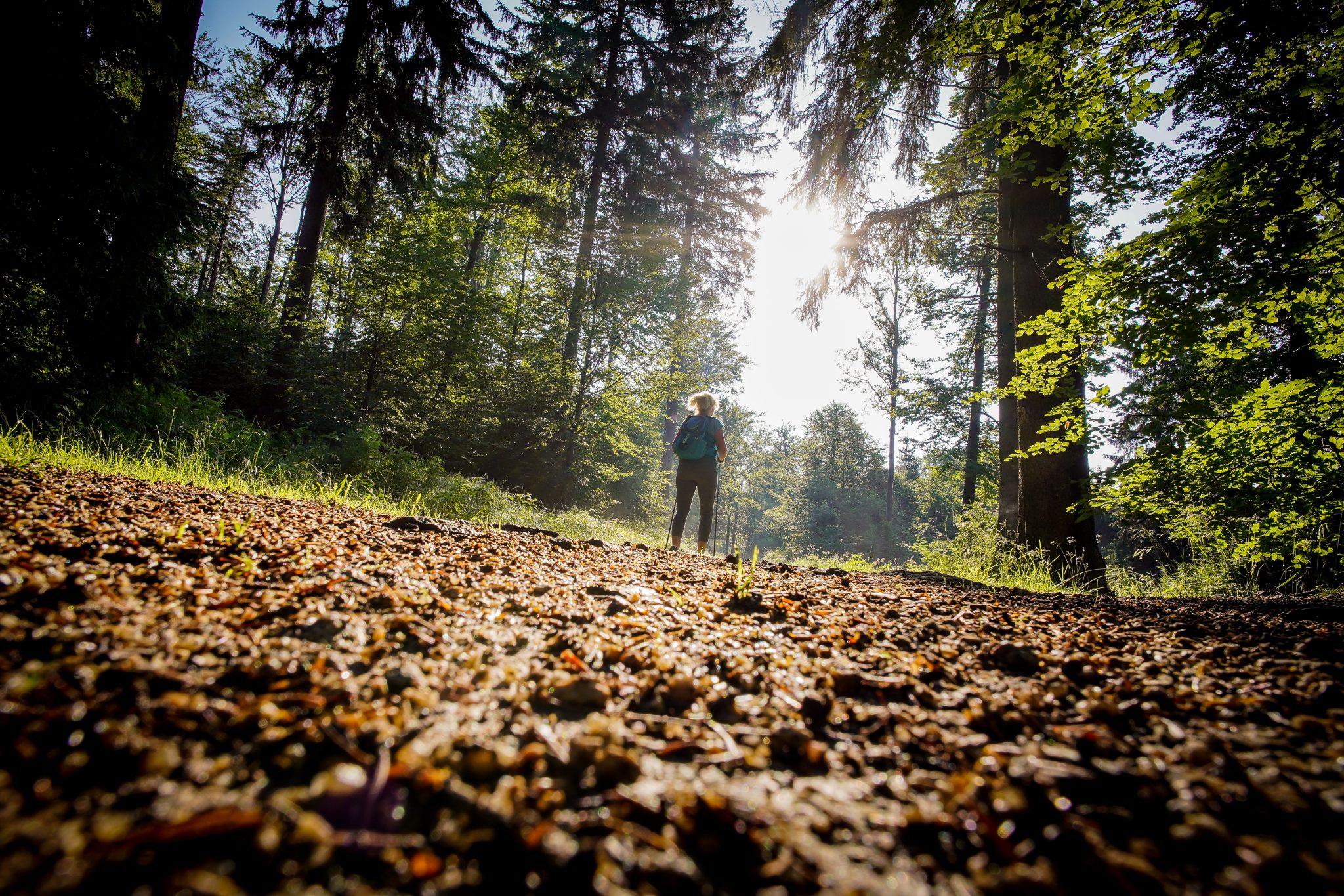 Willkommen in Warmensteinach am Ochsenkopf im Fichtelgebirge